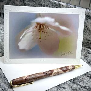 Fine Art Photography greeting card white cherry blossom